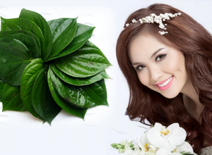 Tổng hợp những phương pháp trị tàn nhang bằng trầu không hiệu quả sau 1 lần sử dụng
